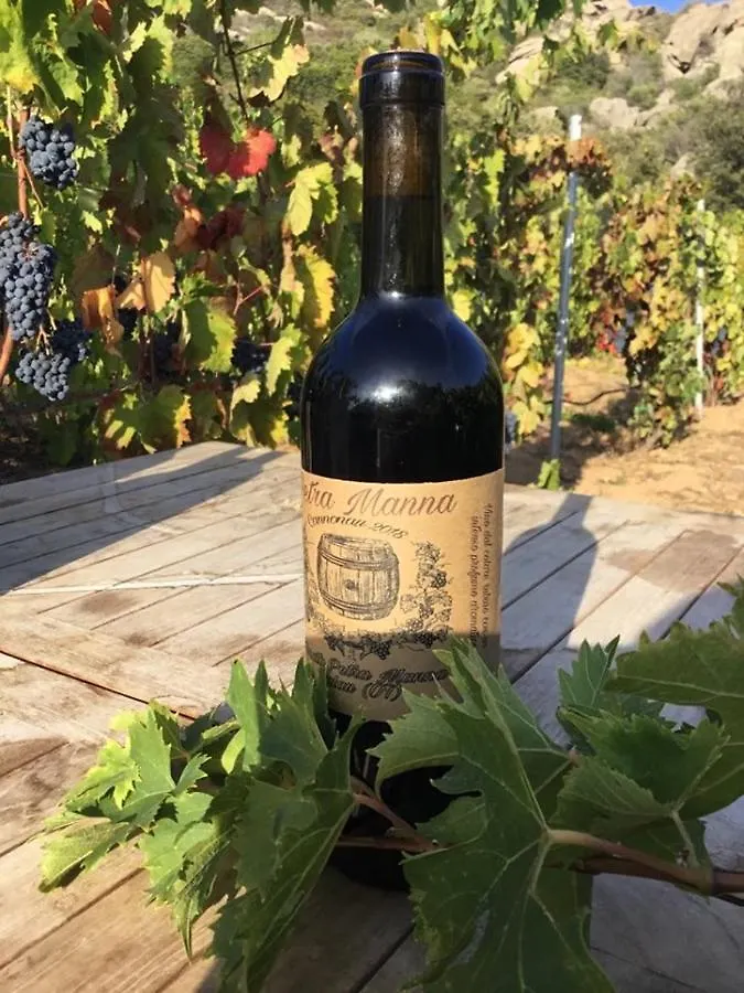 Tenuta Petra Manna Palau