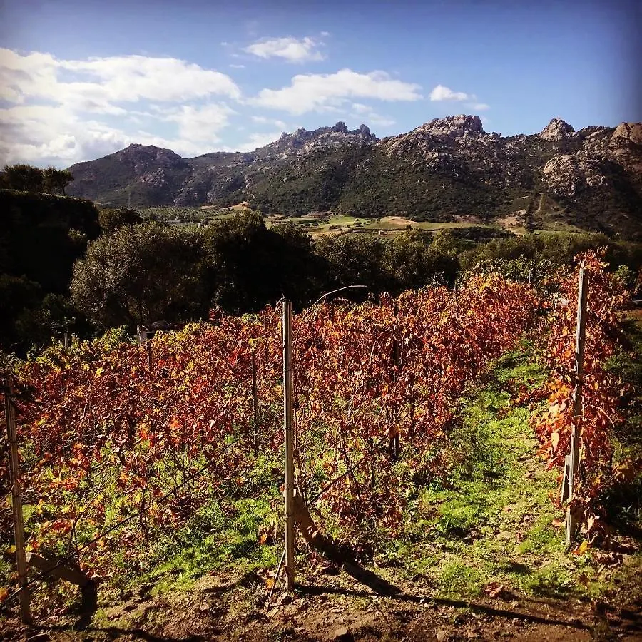 Tenuta Petra Manna Palau